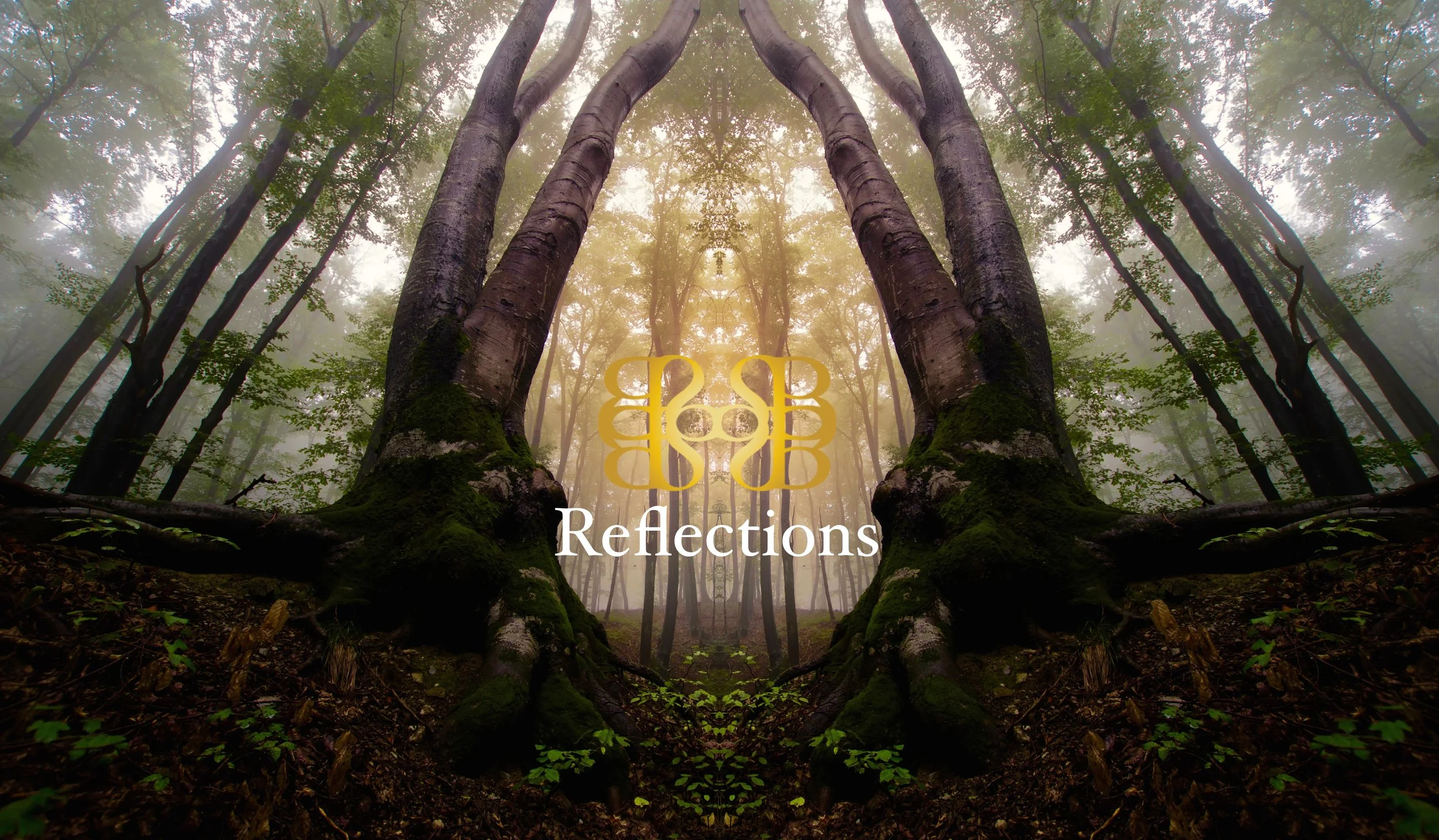 Reflections Image.jpg