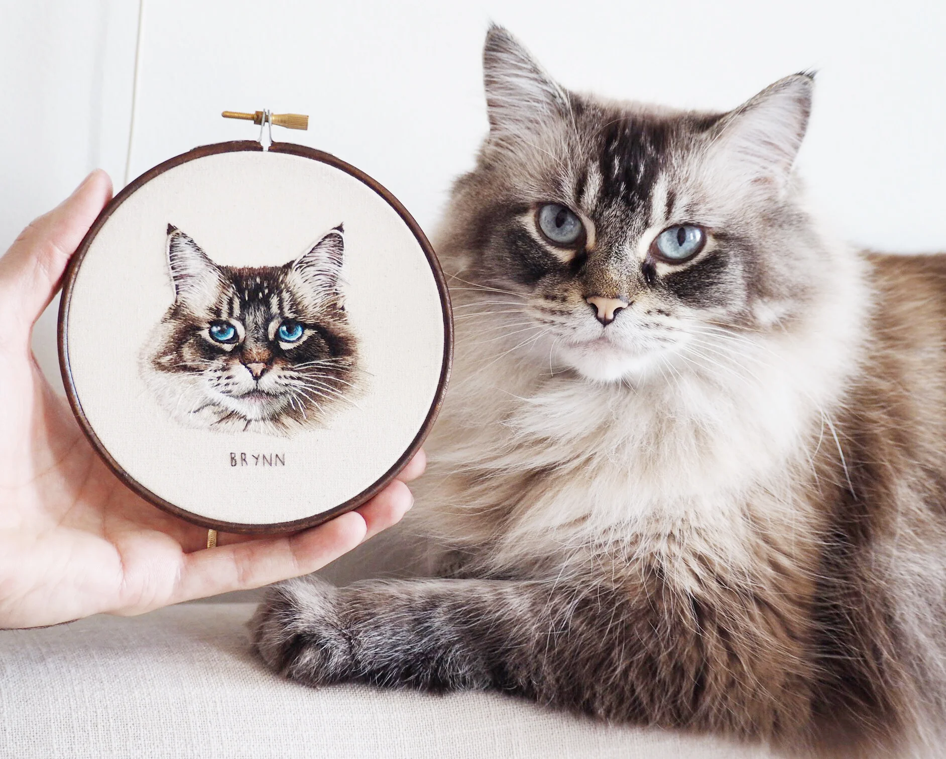 Hand Embroidered Pet Portrait by Emillie Ferris