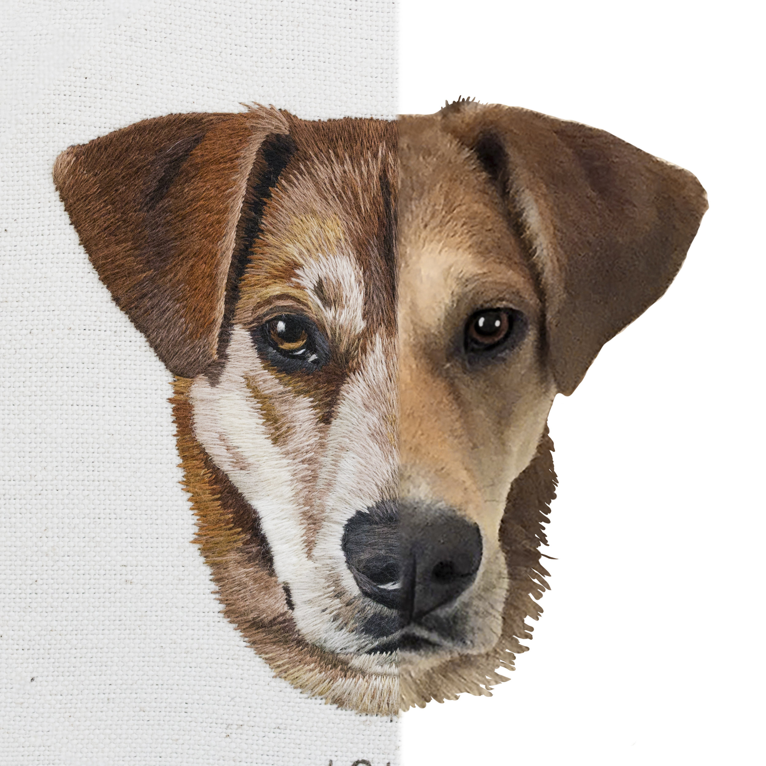  custom, pet, portrait, dog, emillie, ferris, embroidery, realistic, photo-realistic, needlepainting, threadpainting, silk shading, hand embroidery, contemporary embroidery, pet portrait, hoopart, modern embroidery, dmc threads, dmc, needlework, need