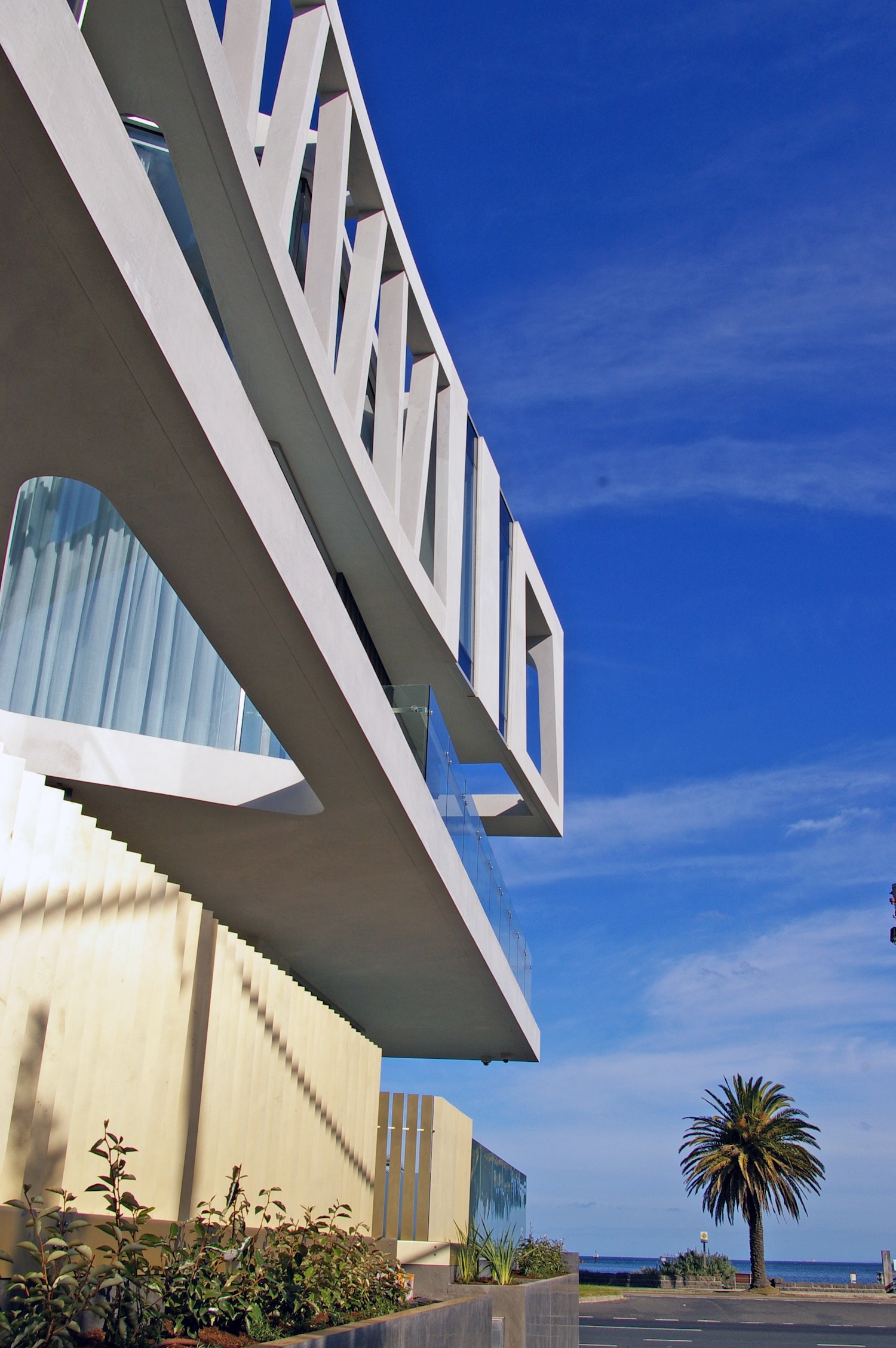 IMGP6798.jpg