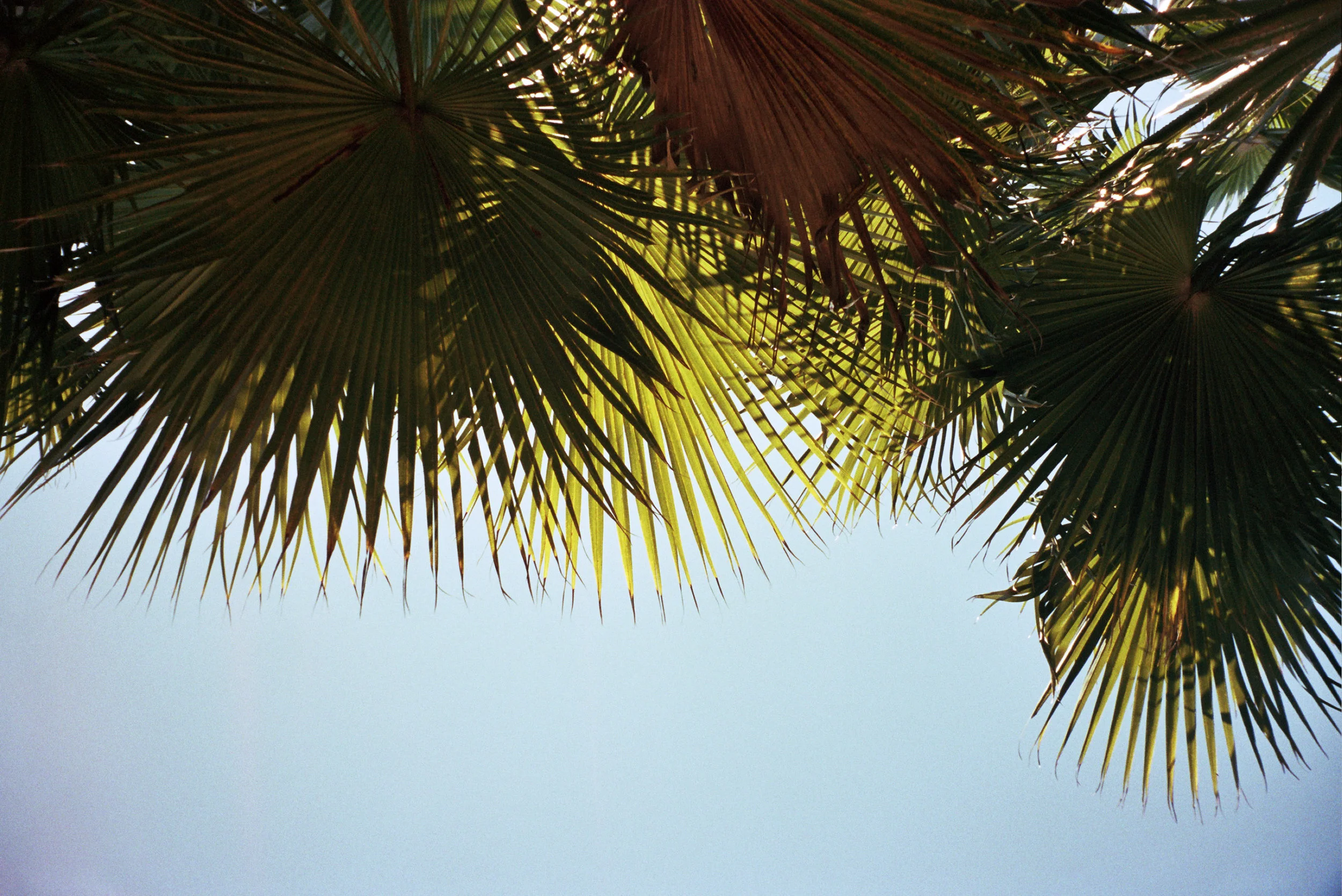 _23_0112 -edit.jpg