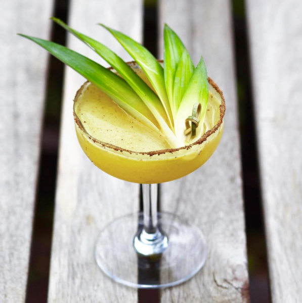 18 Must Try Alkemista Infused Cocktails 
