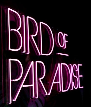Paradise Found - Cleveland's Birds of Paradise Bar