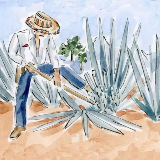 "El Sabor de México" at Dante Beverly Hills with Casa Dragones 