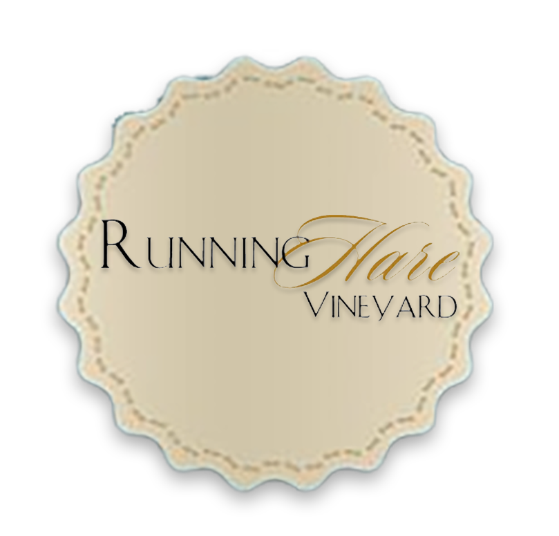 Running Hare Vineyard.png