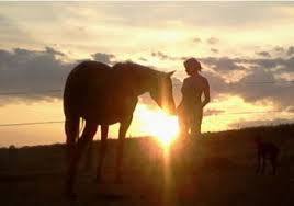 horse sunset.jpg