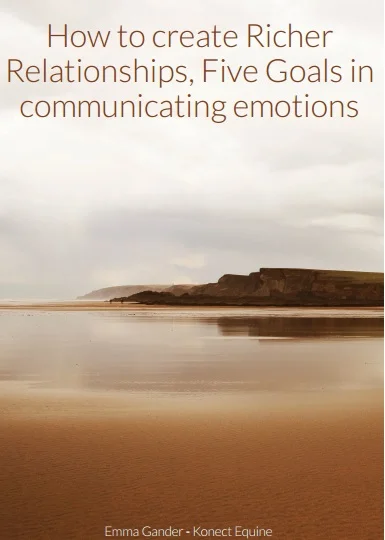How to create Richer Relationships, Five Goals in communicating emotions