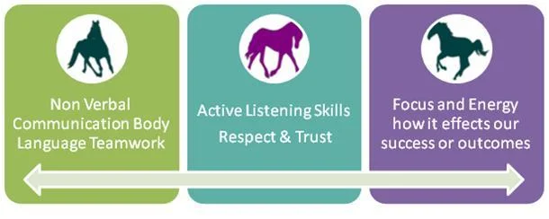 Communication and Teamwork Workshop