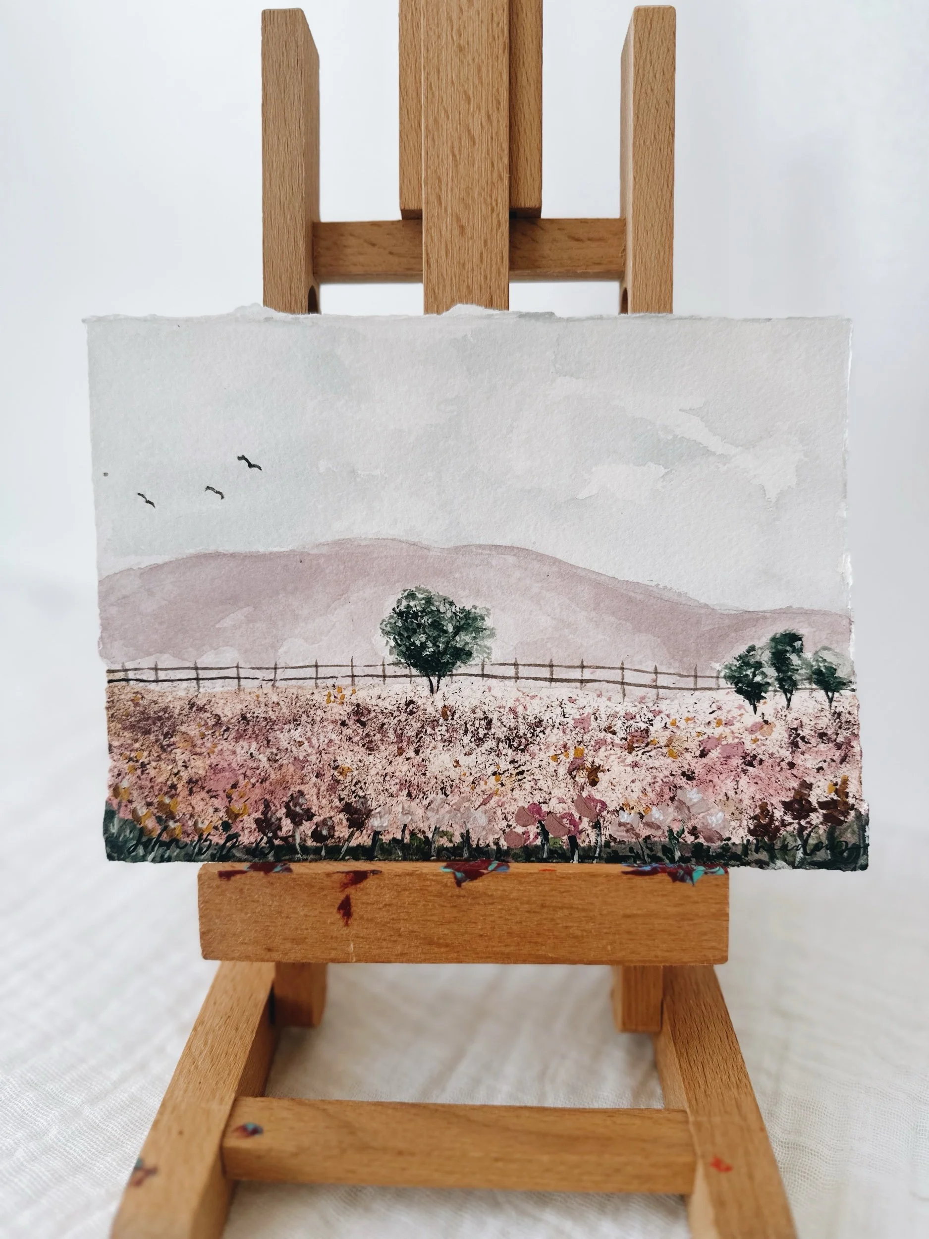 BE576192-9D11-4537-899E-A70268FFB3FE