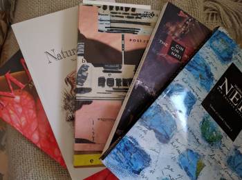 Some of my current litmag bounty.