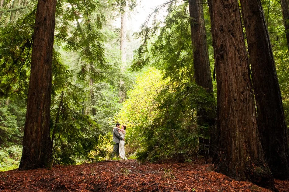 Oakland Redwood Regional Park wedding