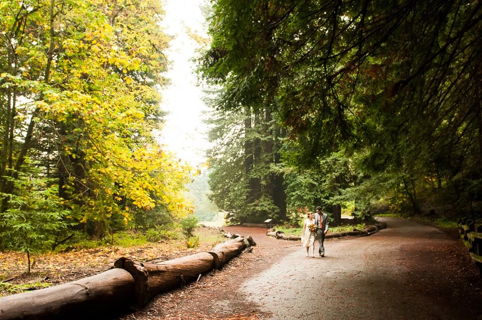 Oakland Redwood Regional Park wedding