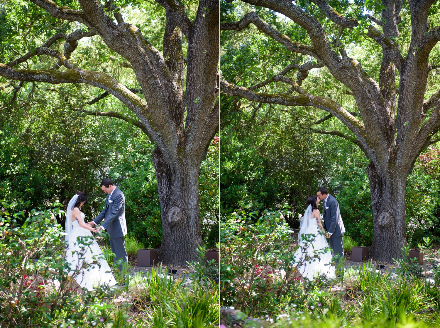 Danville backyard wedding
