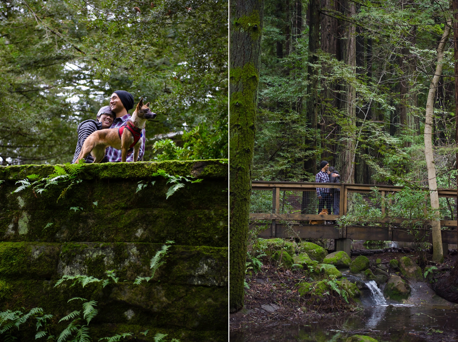 Sanborn County Park engagement