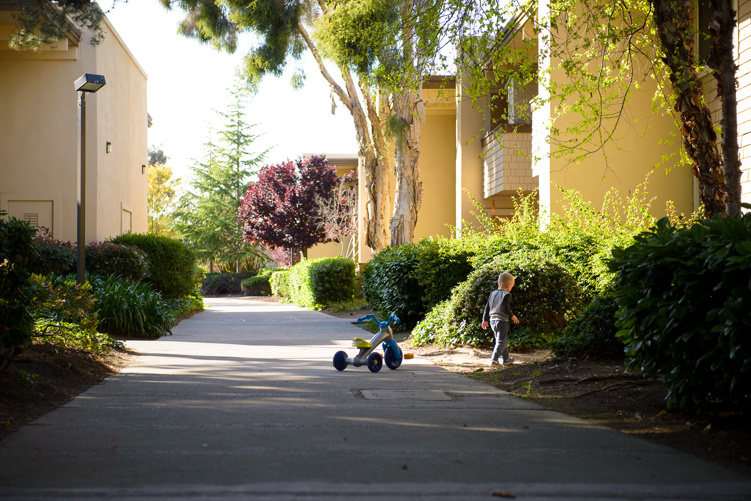 Family activities-11.jpg