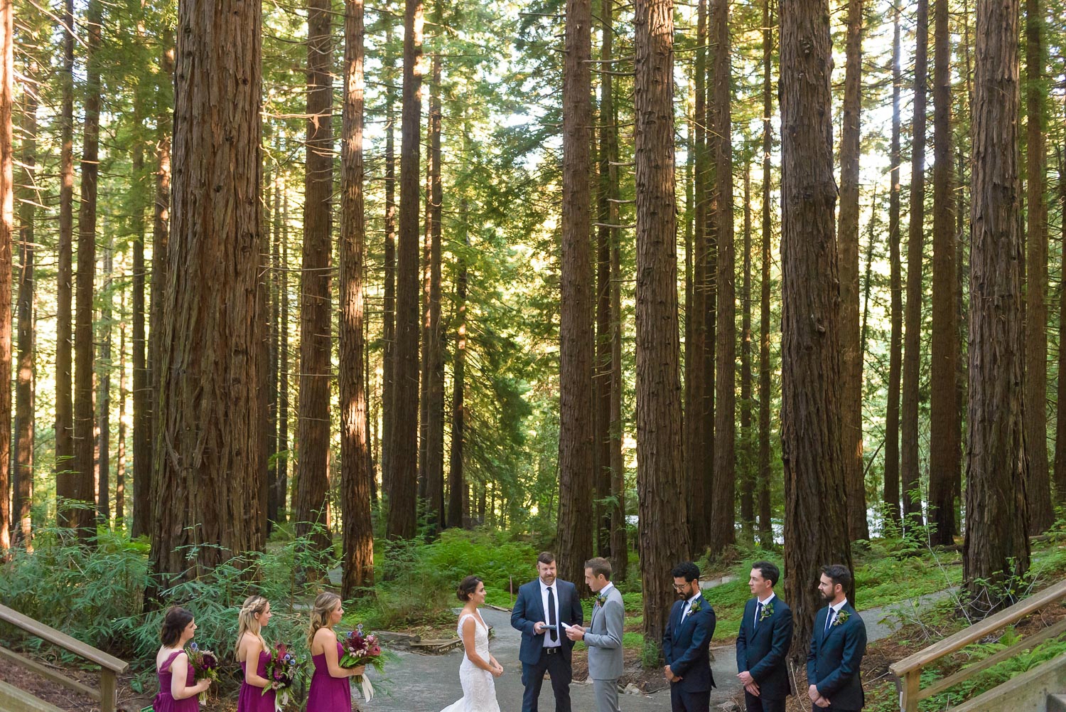 UC Berkeley Botanical Gardens wedding
