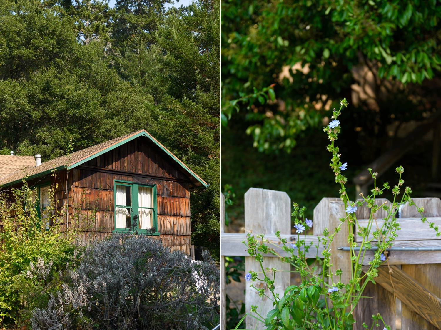 Pescadero Venture Retreat Center wedding