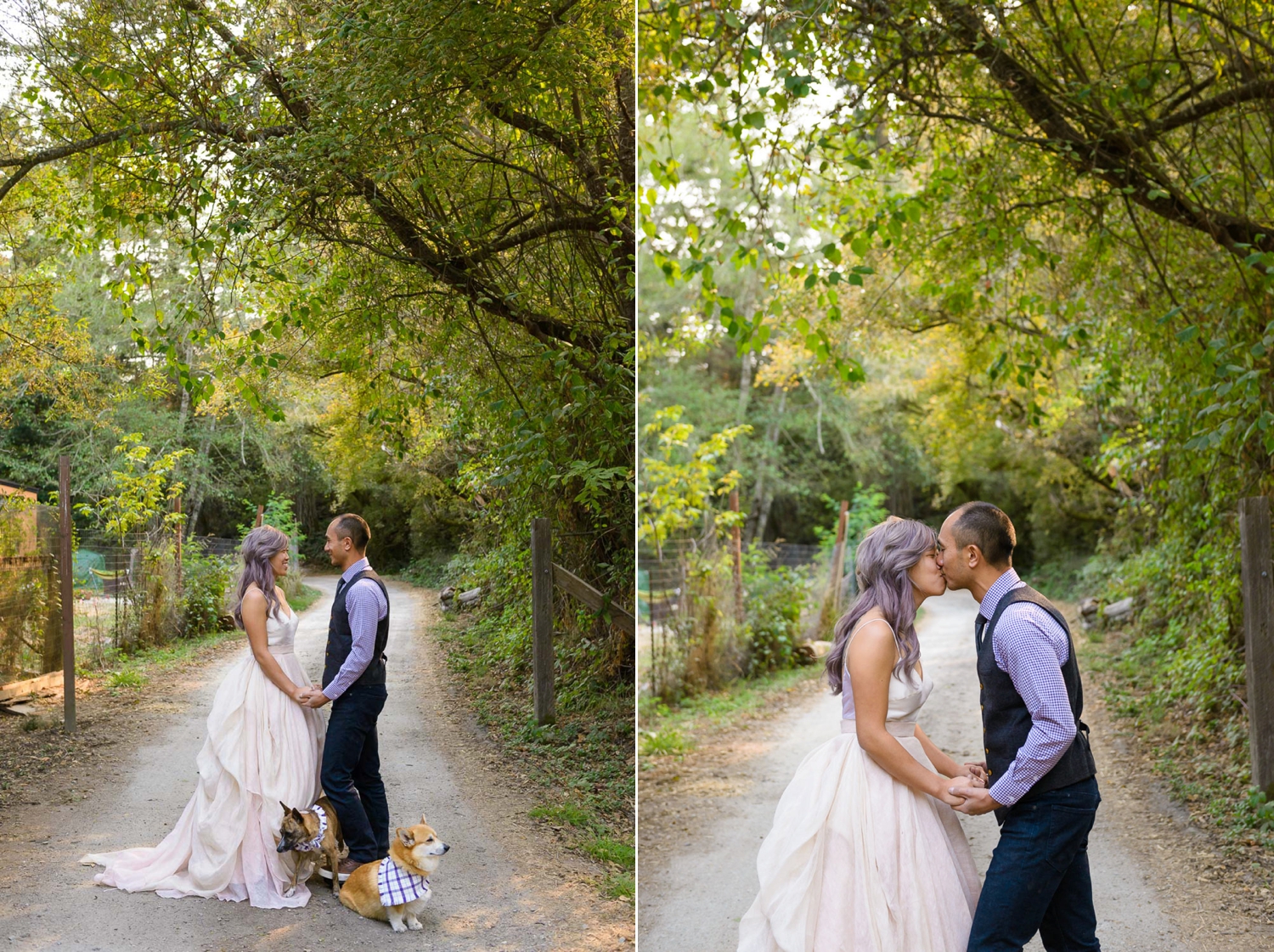 Pescadero wedding