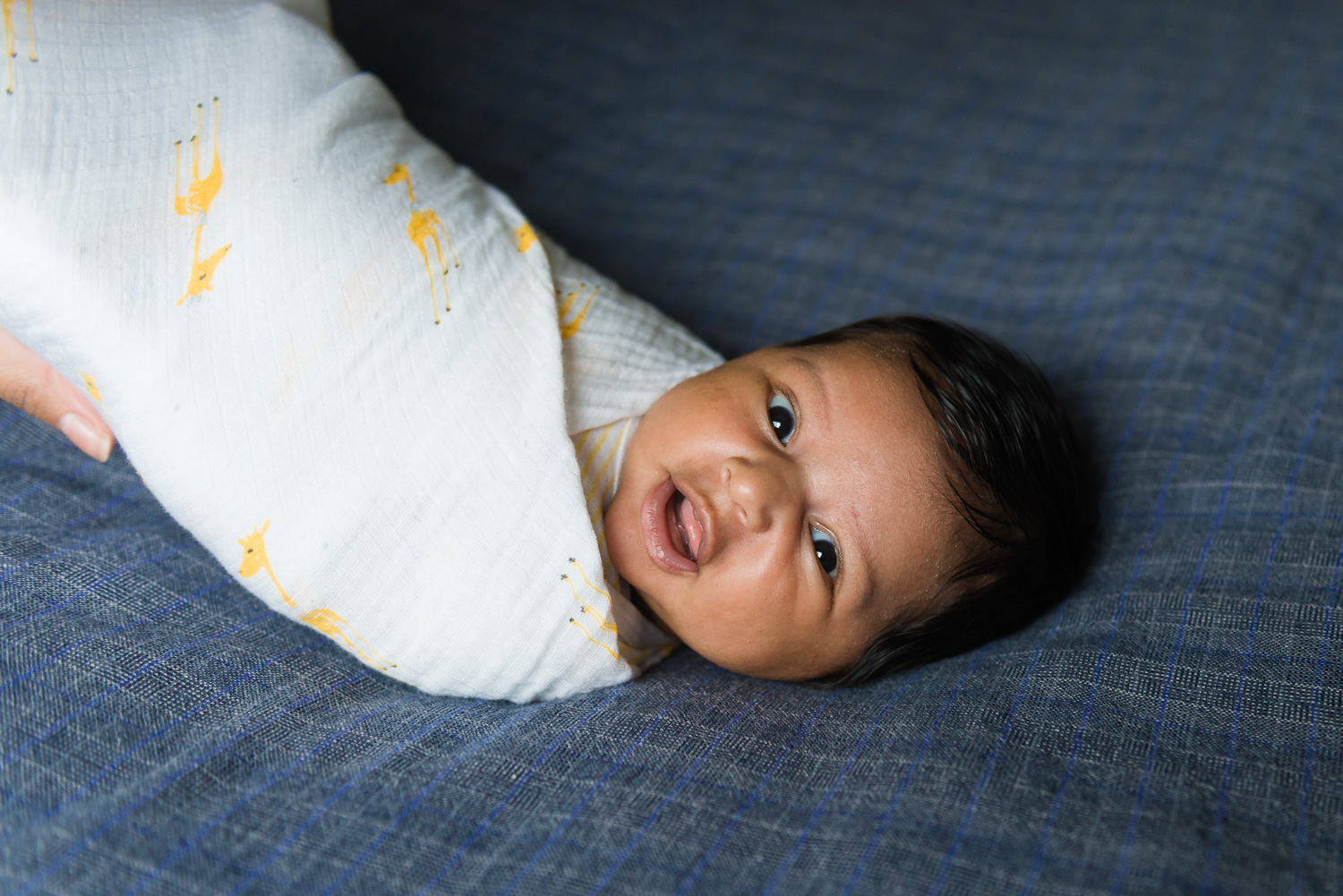 Sunnyvale family photography