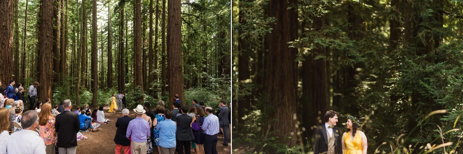 Wedding ceremony under redwood trees