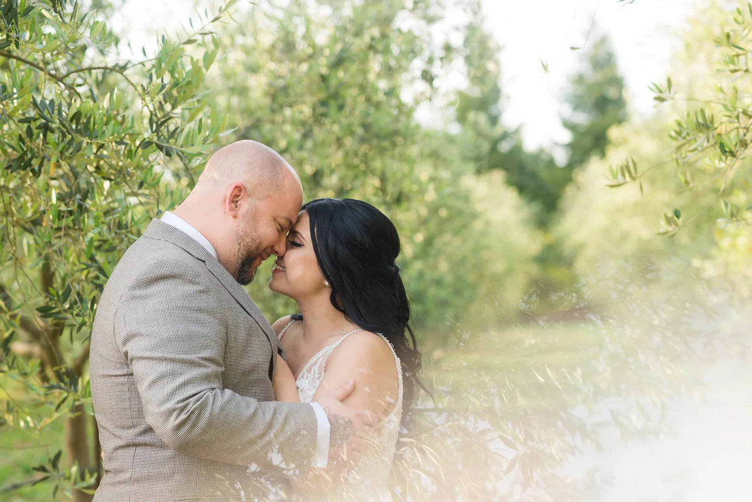 Bride and groom in an olive orchard