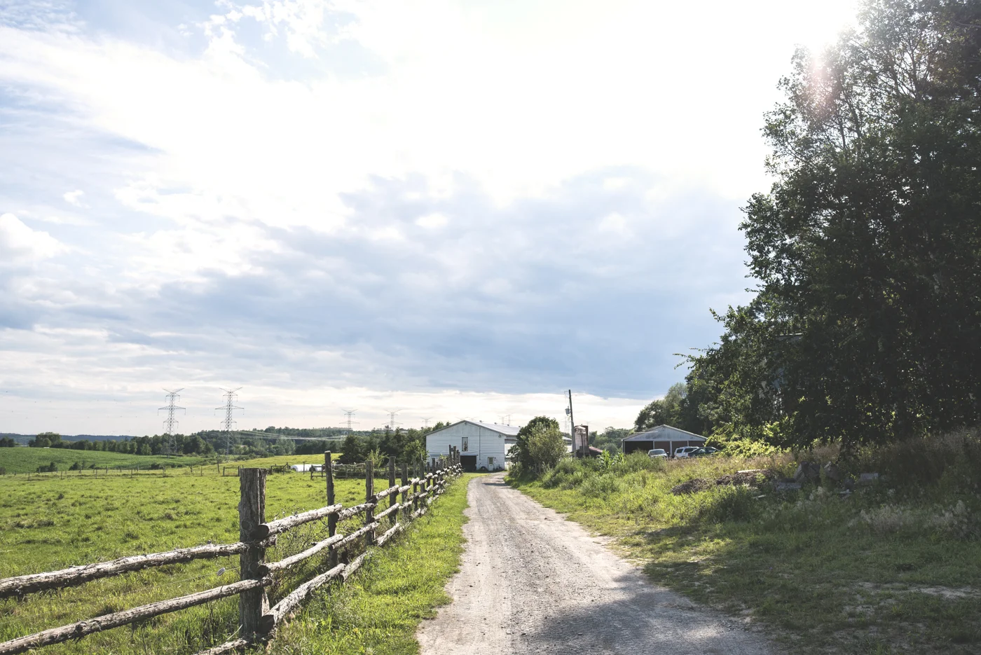 DSC_3587.jpg