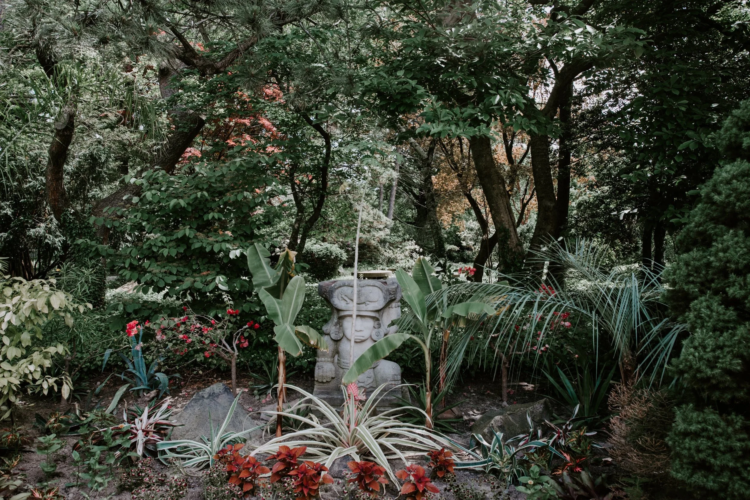 DSC_8865.jpg