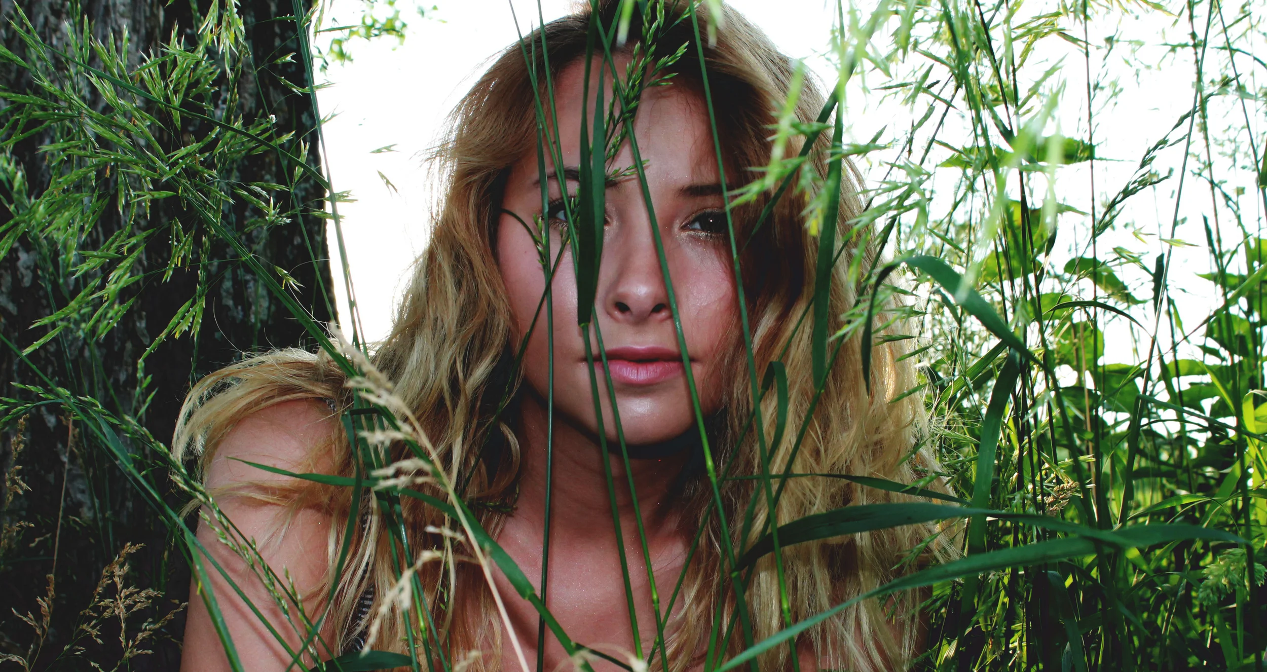 jungle.jpg