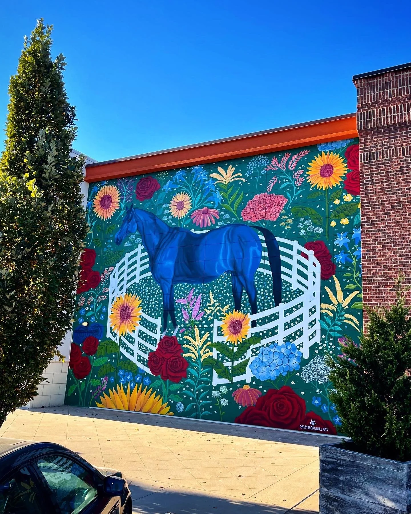 8F62A96B-F386-4938-8AEE-8000F0A5C27B 2.JPG