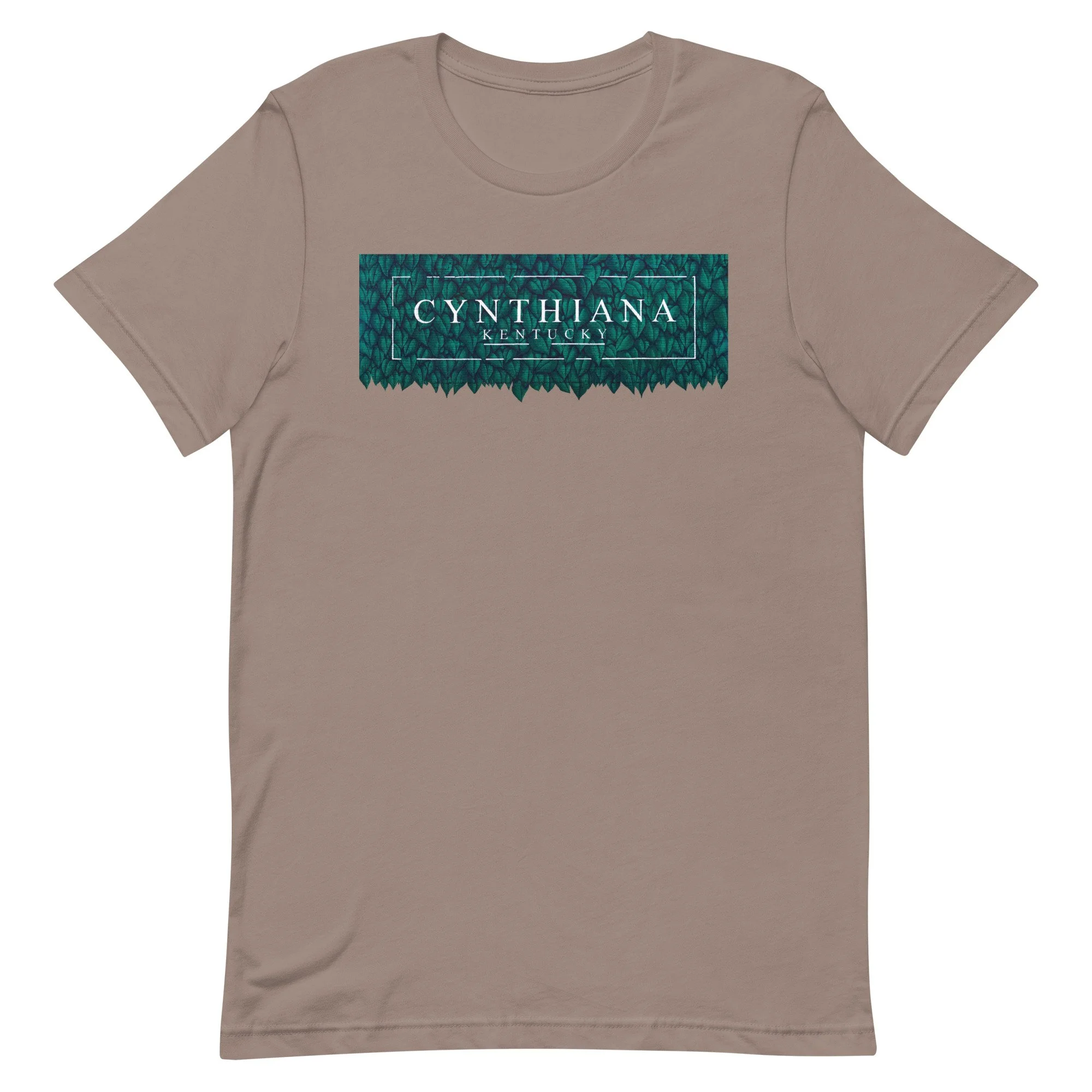 unisex-staple-t-shirt-pebble-front-678aa997f262a.jpg