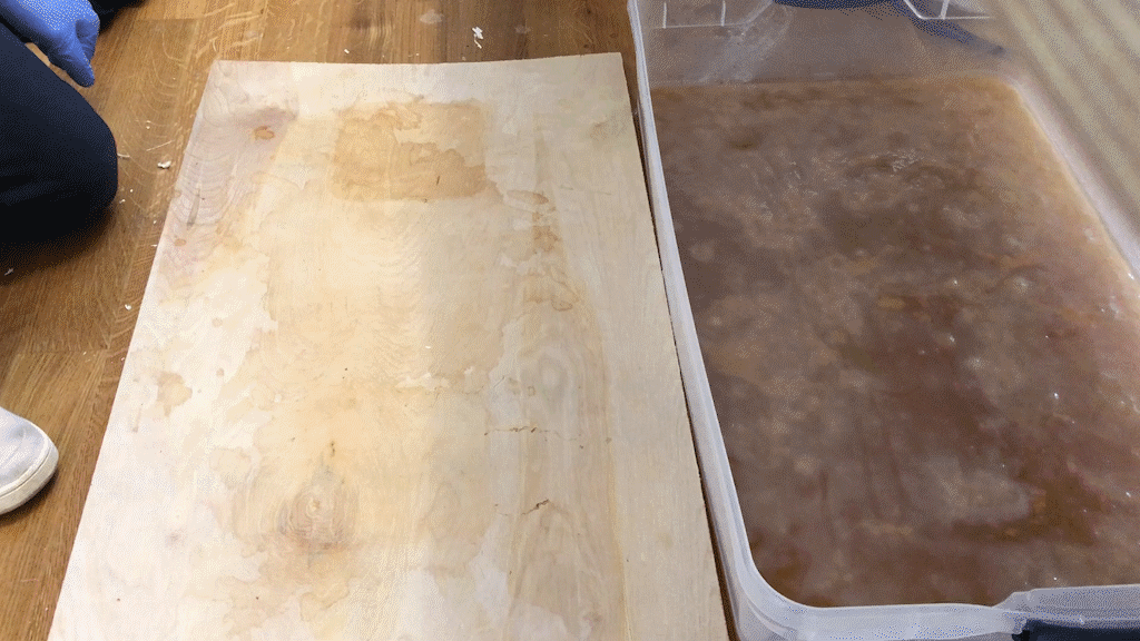 ARCH_Benjamin_Christopher Gardner_FA17_cellulose harvest.gif