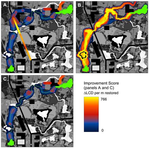 Computer modeling and analysis of Mountain Lion connectivity in Southern California using the Circuitspace program.