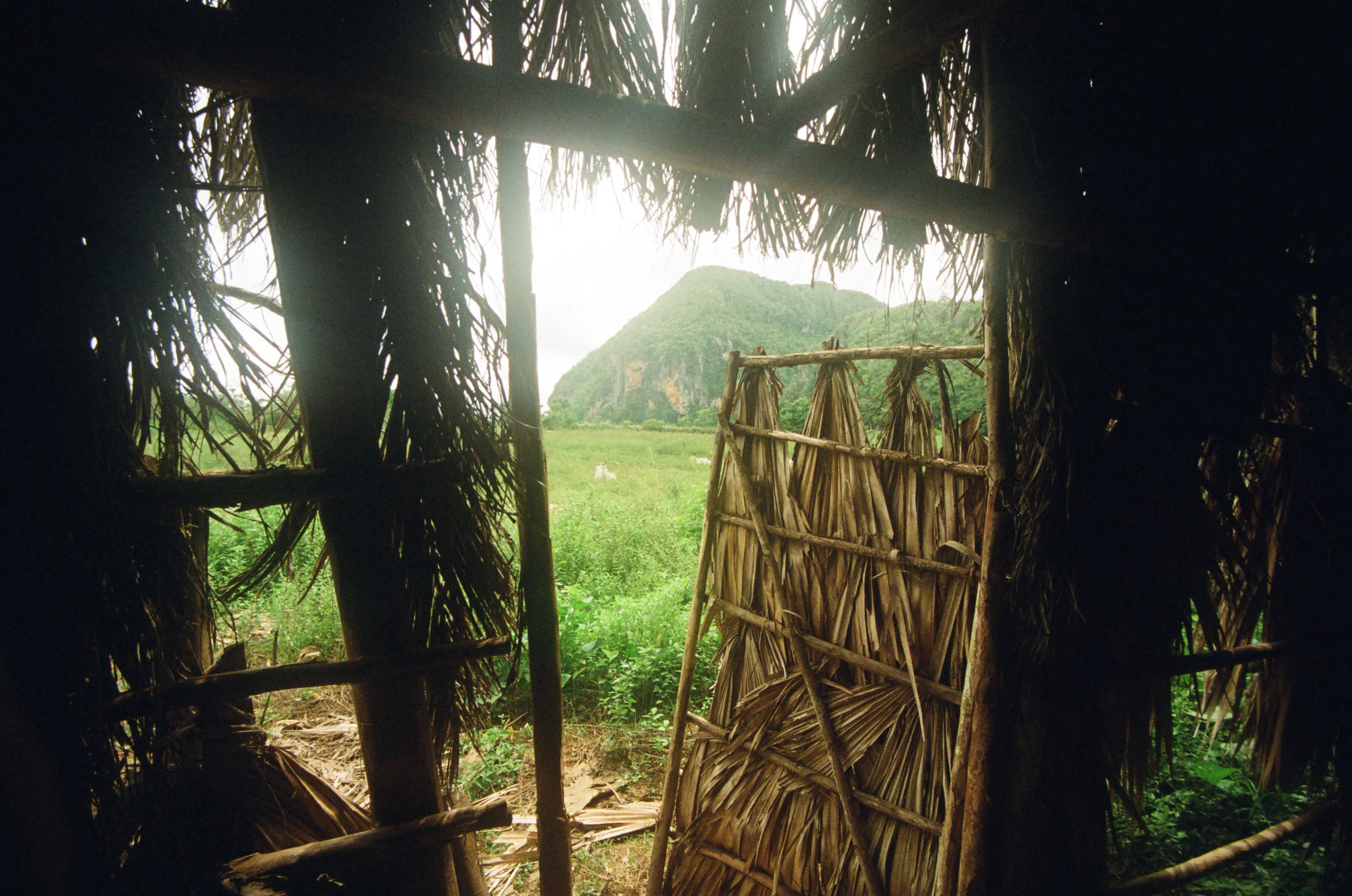 Copy of 60480035.JPG