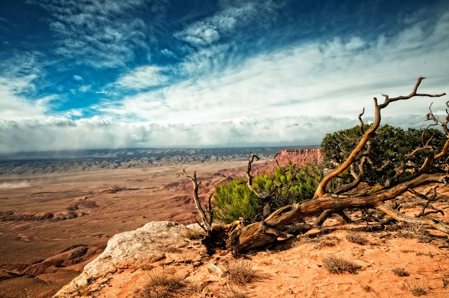Top of Vermillion Cliffs looking west. Arizona Strip
