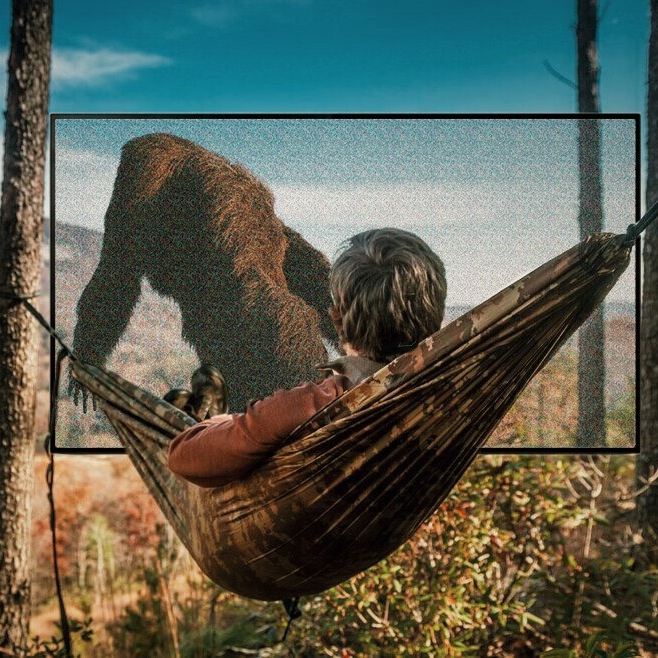  Hammocks in front of digital screens showing Nature's secrets 