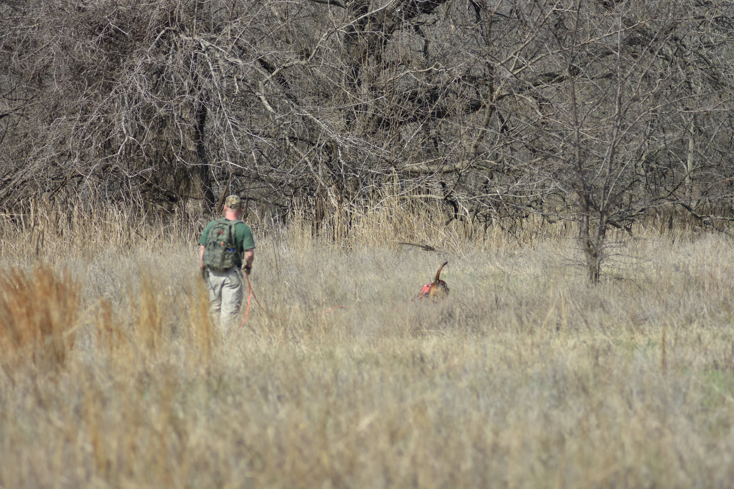 2018-04-13 2018-04-13 001 015.JPG