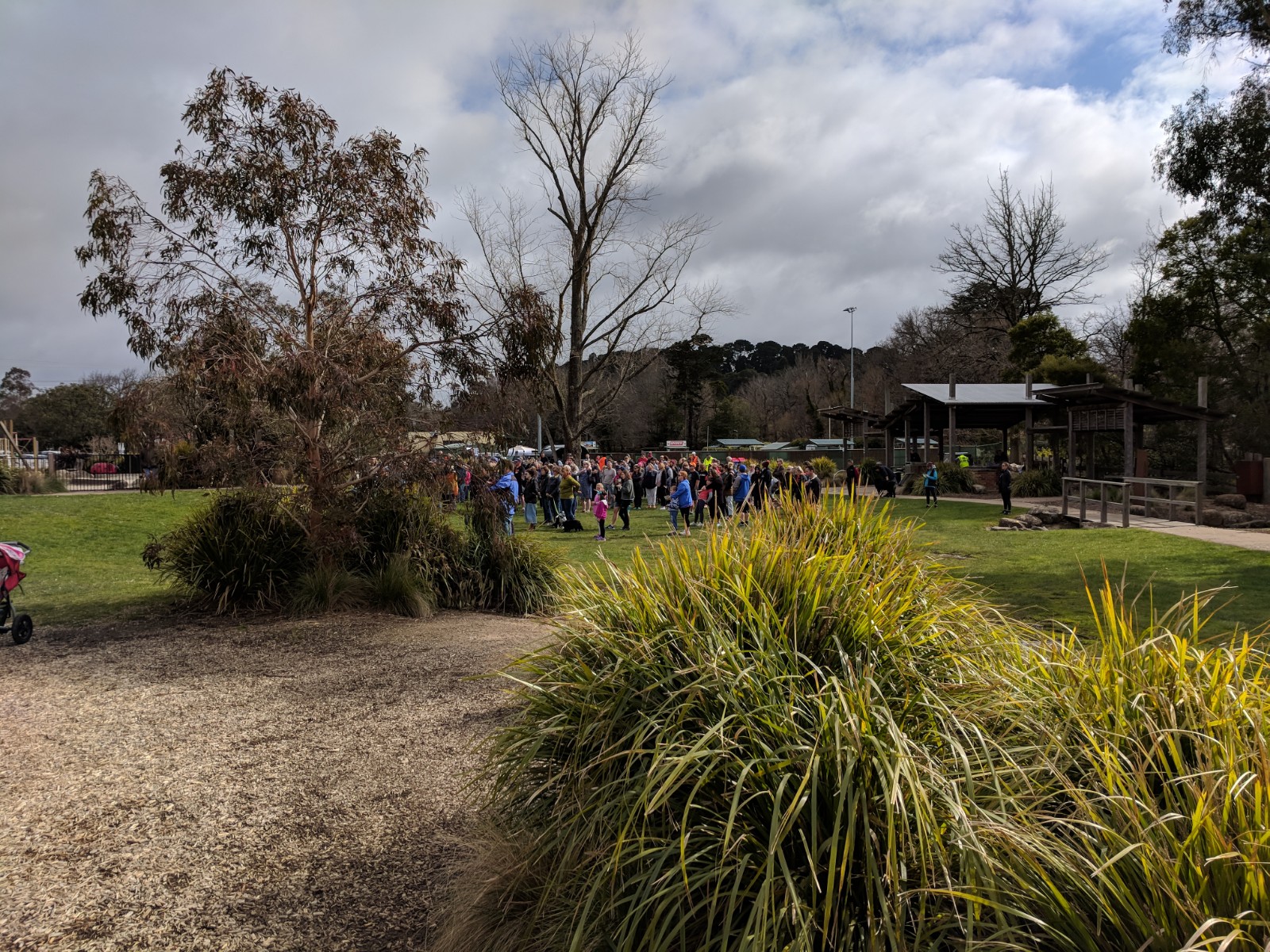 Walk 2018 3.jpg