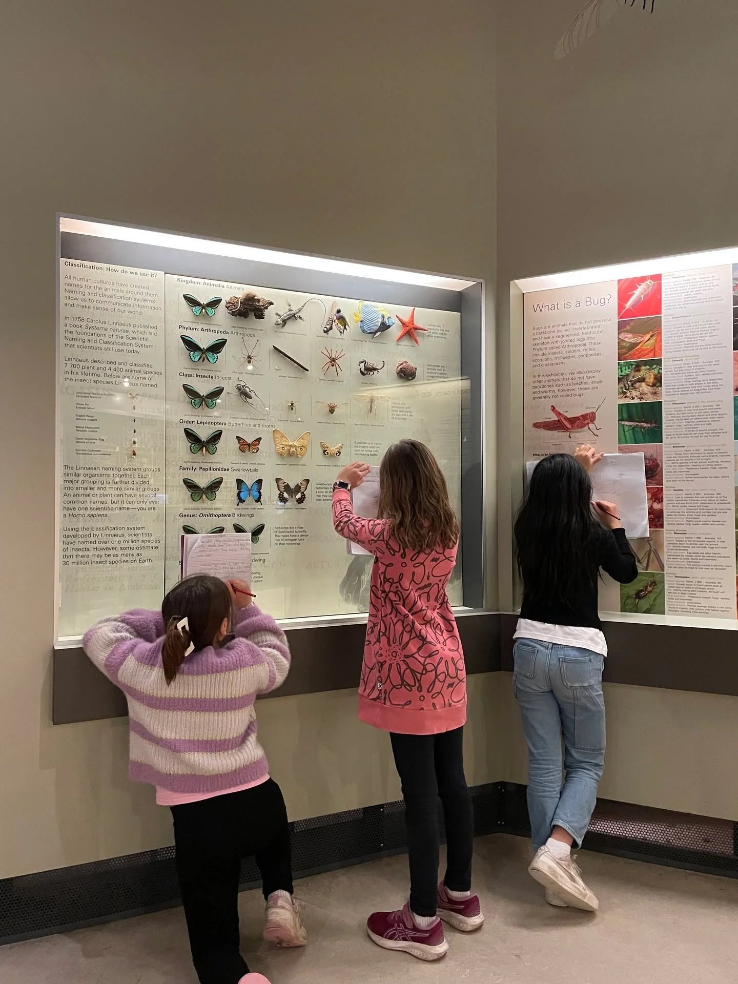 What an unforgettable day! 🎉🚌

Our amazing Grade 3/4 students had an incredible time exploring the museum! 
an amazing day full of fun, learning, and adventure! 🏛️📚

#FNPSCares #communitymatters #proudstudents
#FNPS150 #communitypride #learningev