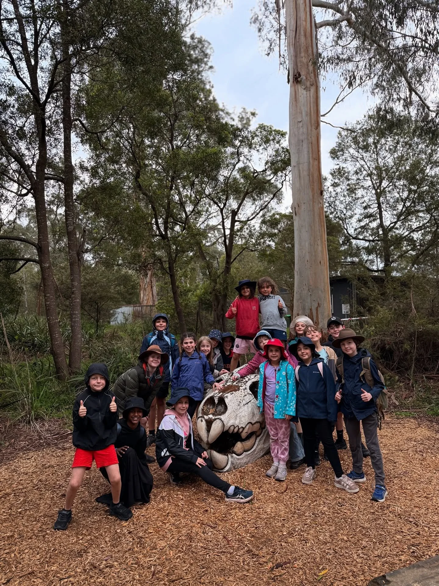 What a week! 🌟 
Our Grade 3 & 4 students absolutely crushed camp at Ferngully Lodge full of fresh skills, laughter, teamwork, and epic memories. 
From the giant swing to the cheers of new buddies, every moment was a win. 🎉
A massive shout-out