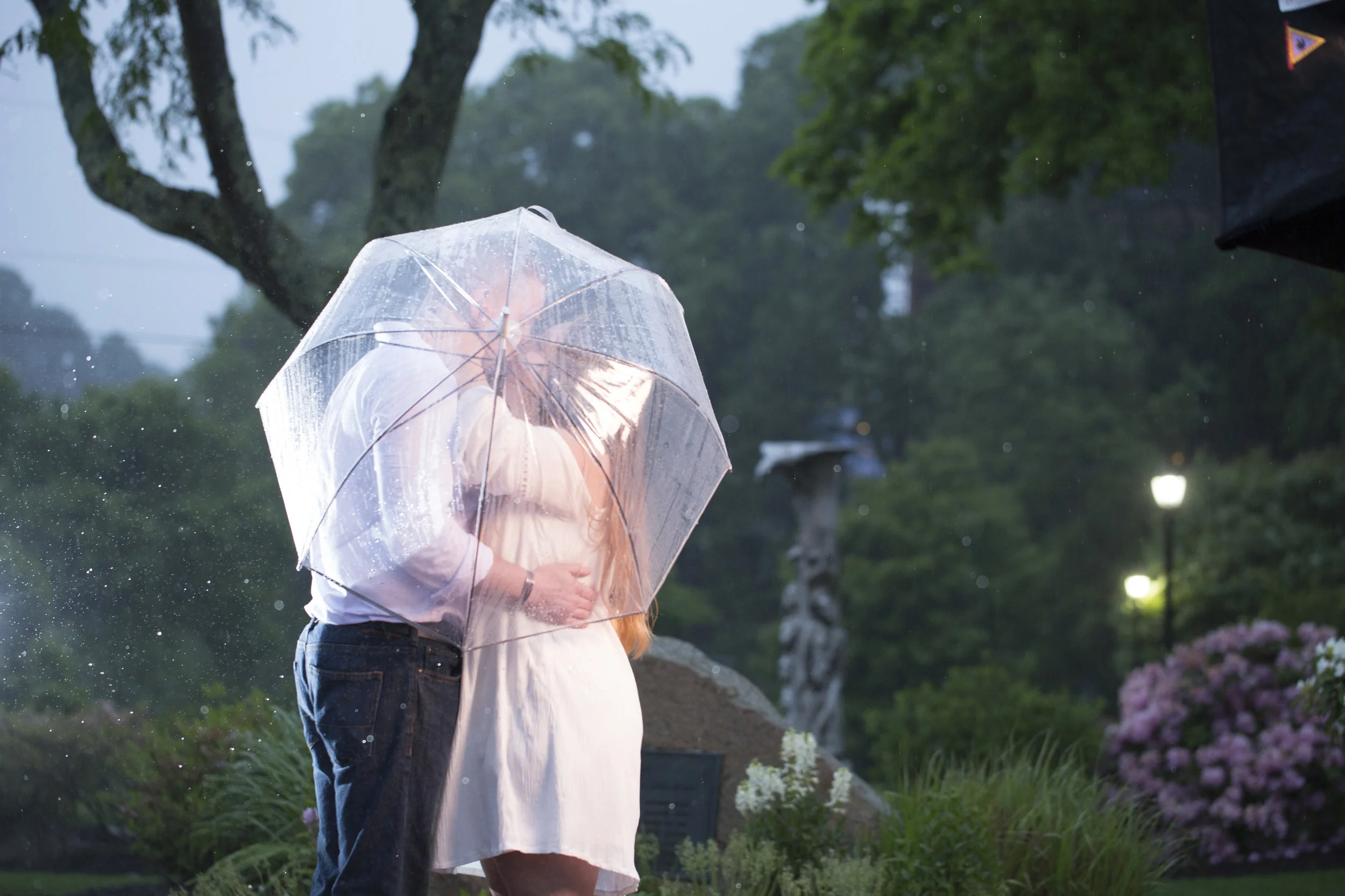 8C2A0164+Giovanni The Photographer Best Boston Engagement Photography Public Gardens - Commons WM100.jpg