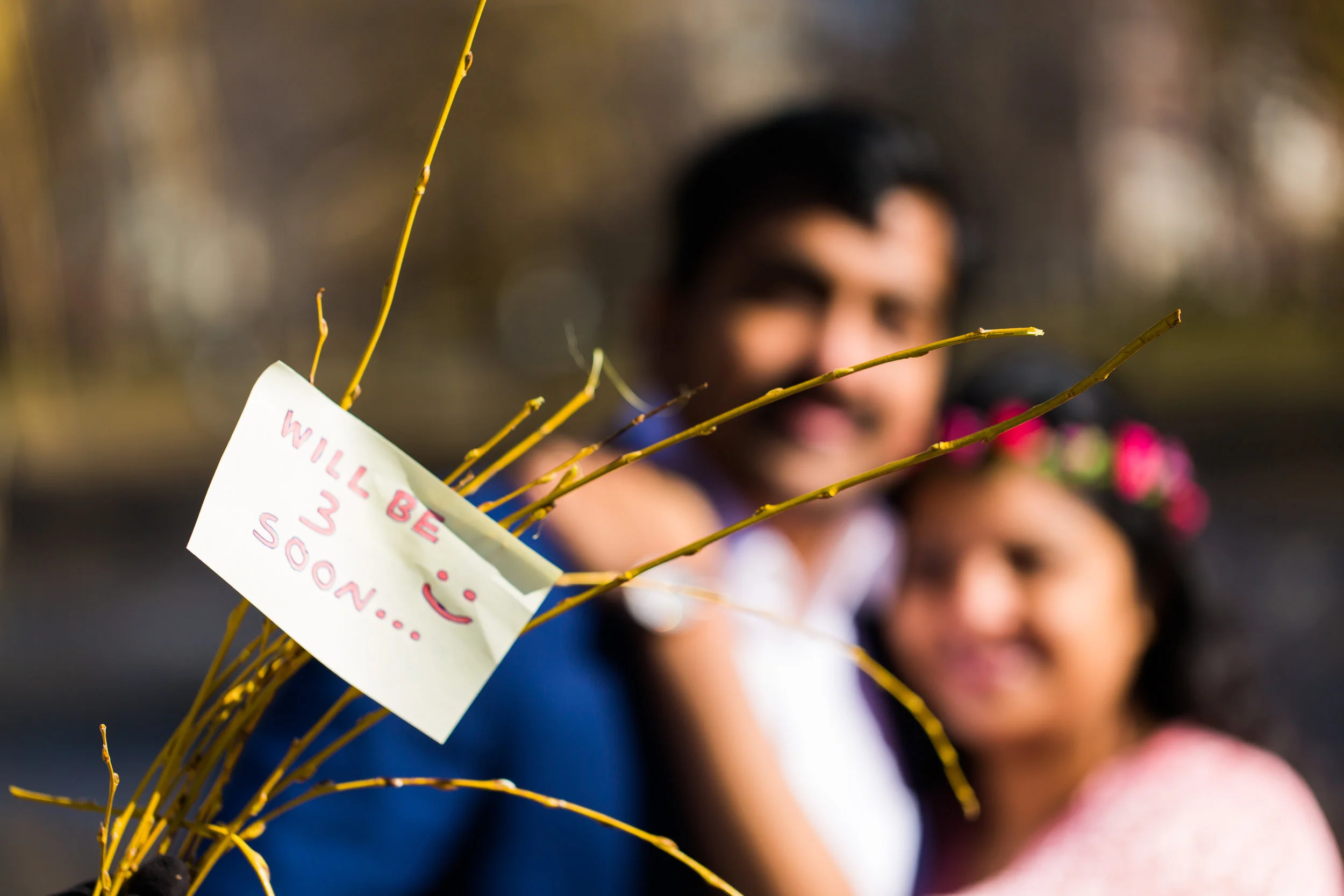 314A8865-Giovanni The Photographer-Maternity Photography in Boston MA Newborn-Boston Public Garden