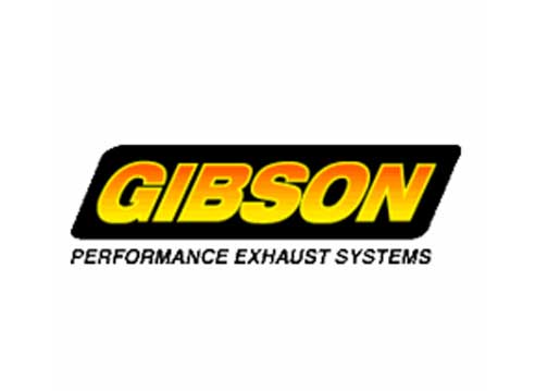 Speedtek_custom_parts_gibson.jpg