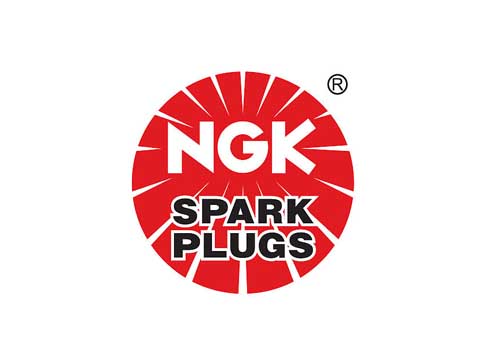 Speedtek_custom_parts_ngk.jpg