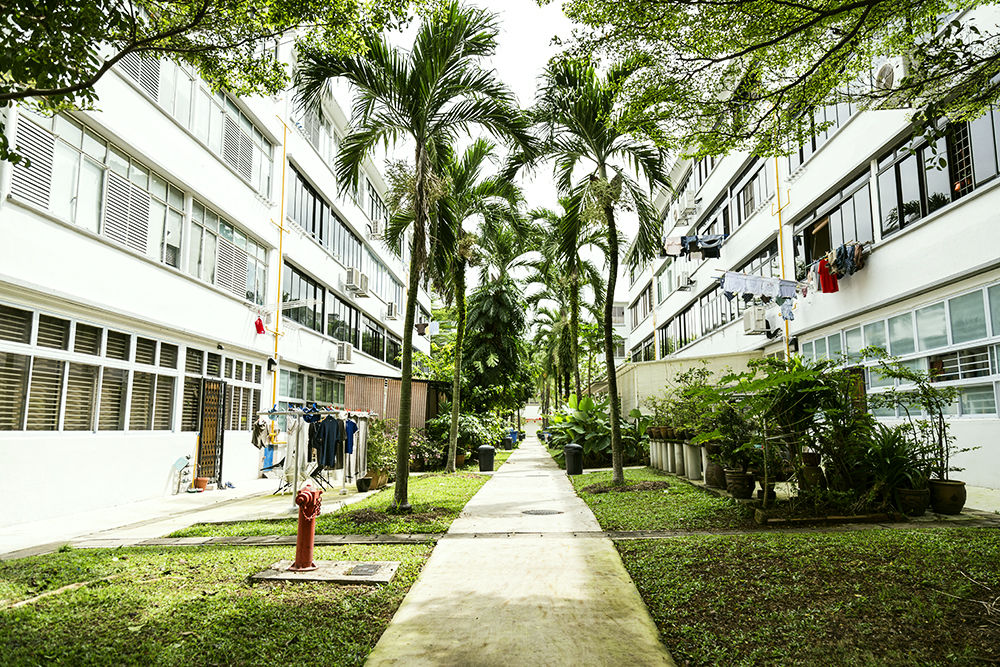 PiaJohnson_TiongBahru.jpg