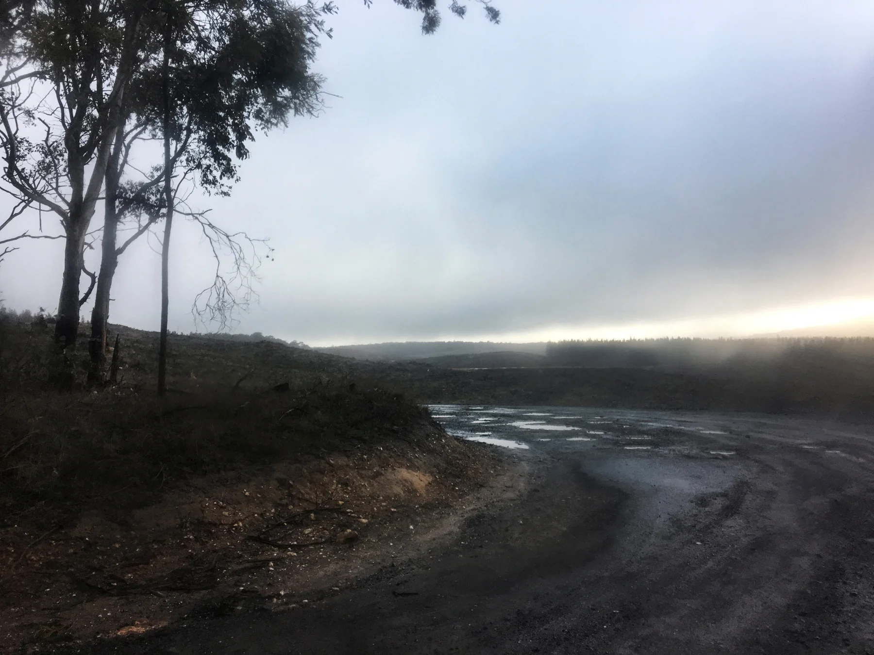 Cusp is about the edges. The transience of youth into womanhood; the mountain line cleared of trees; the direction of rain on the windscreen; the curve of bitumen that cradles the roadkill… All acts of becoming within the regional landscape. A topography of identity. Exhibition opening 9 March 2019, Stockroom Kyneton
