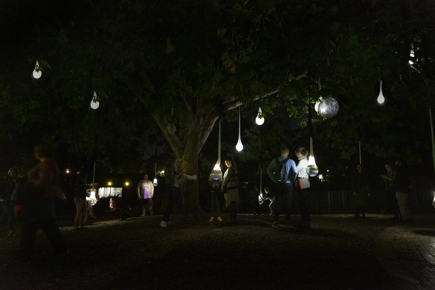 MelindaHetzelCo_BetweenTheTrees_Zoo_photoPiaJohnson_5385.jpg