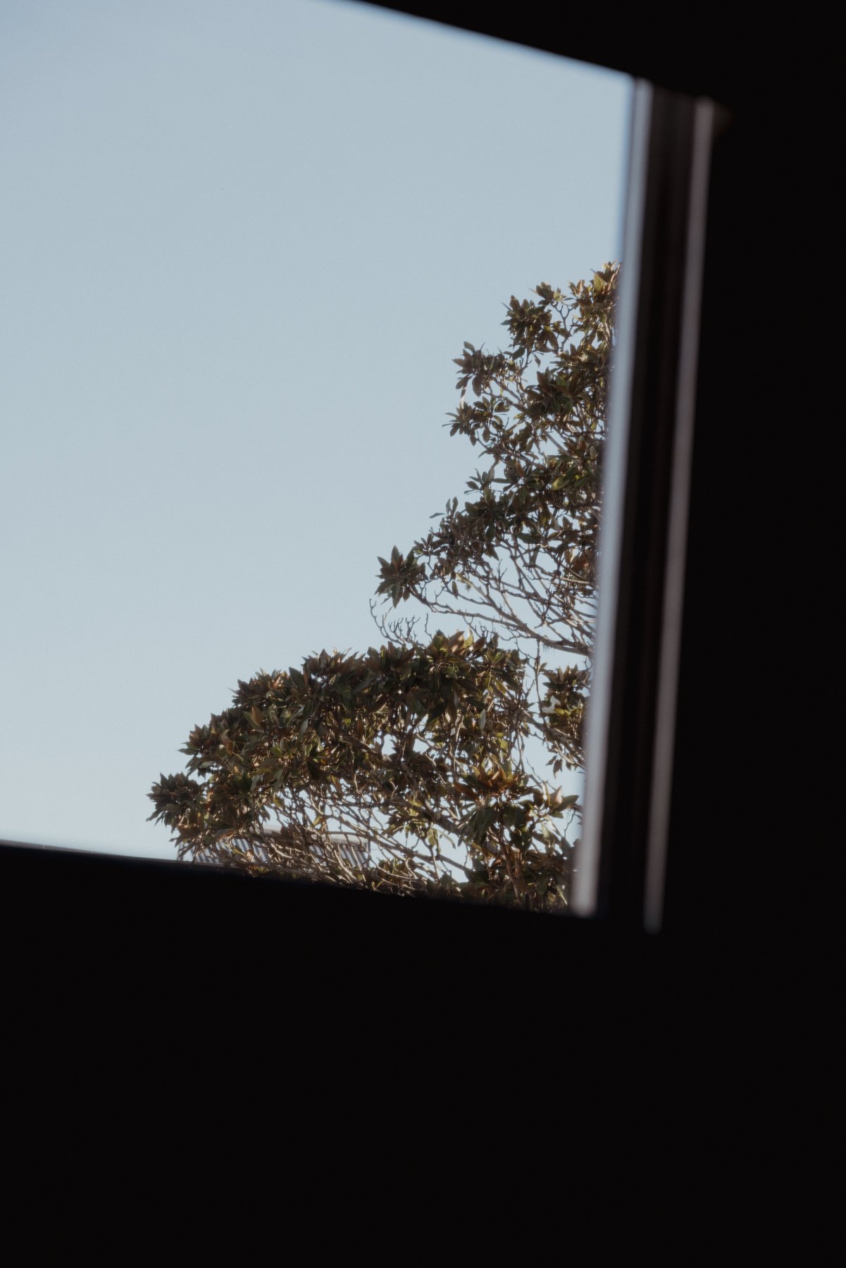 BundanonHomestead_photoPiaJohnson_20115.jpg