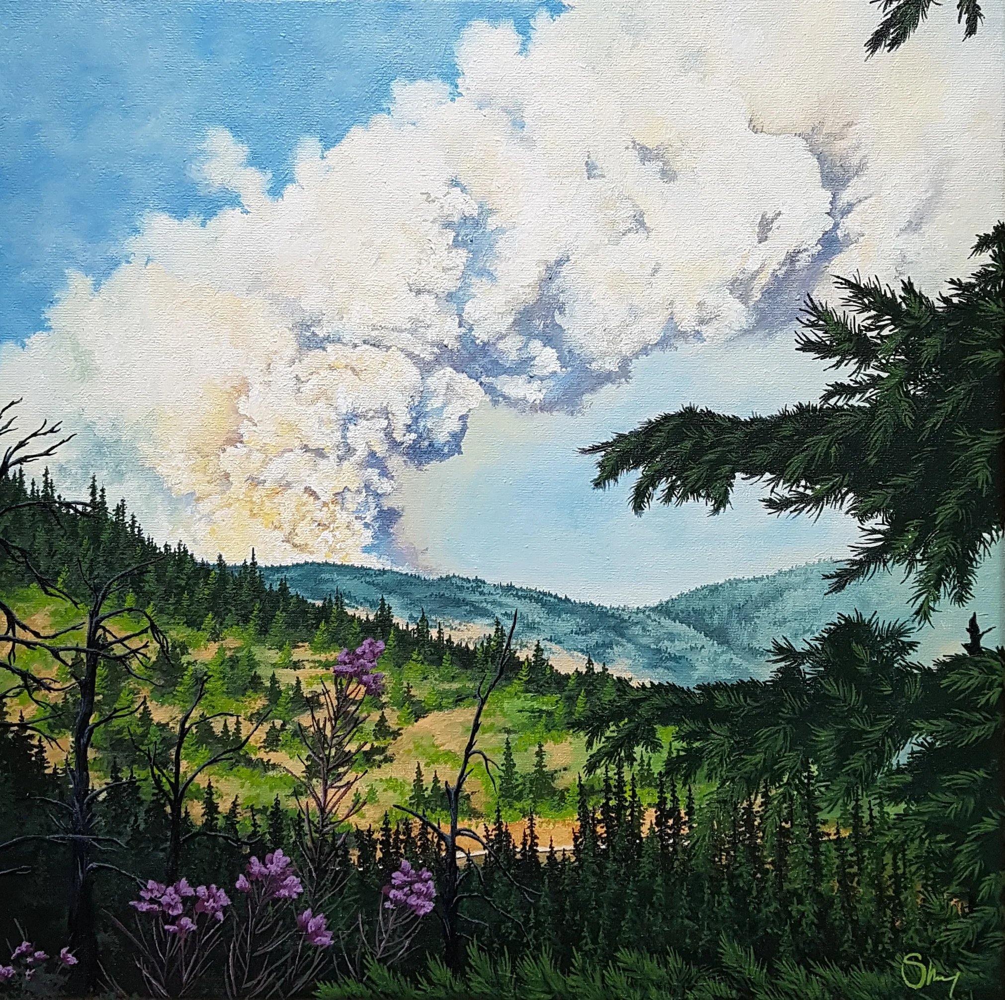 Rice Ridge Fire.jpg