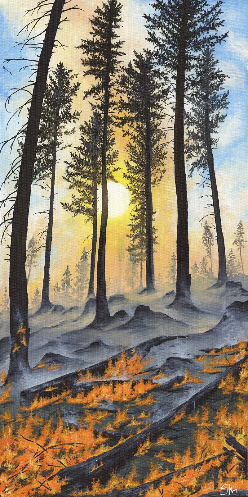 forest fire wc no border (small).jpg