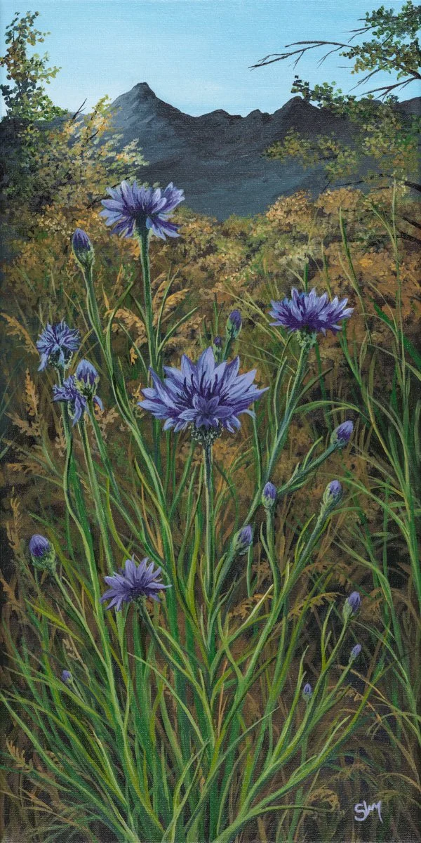 Wildflowers - Print